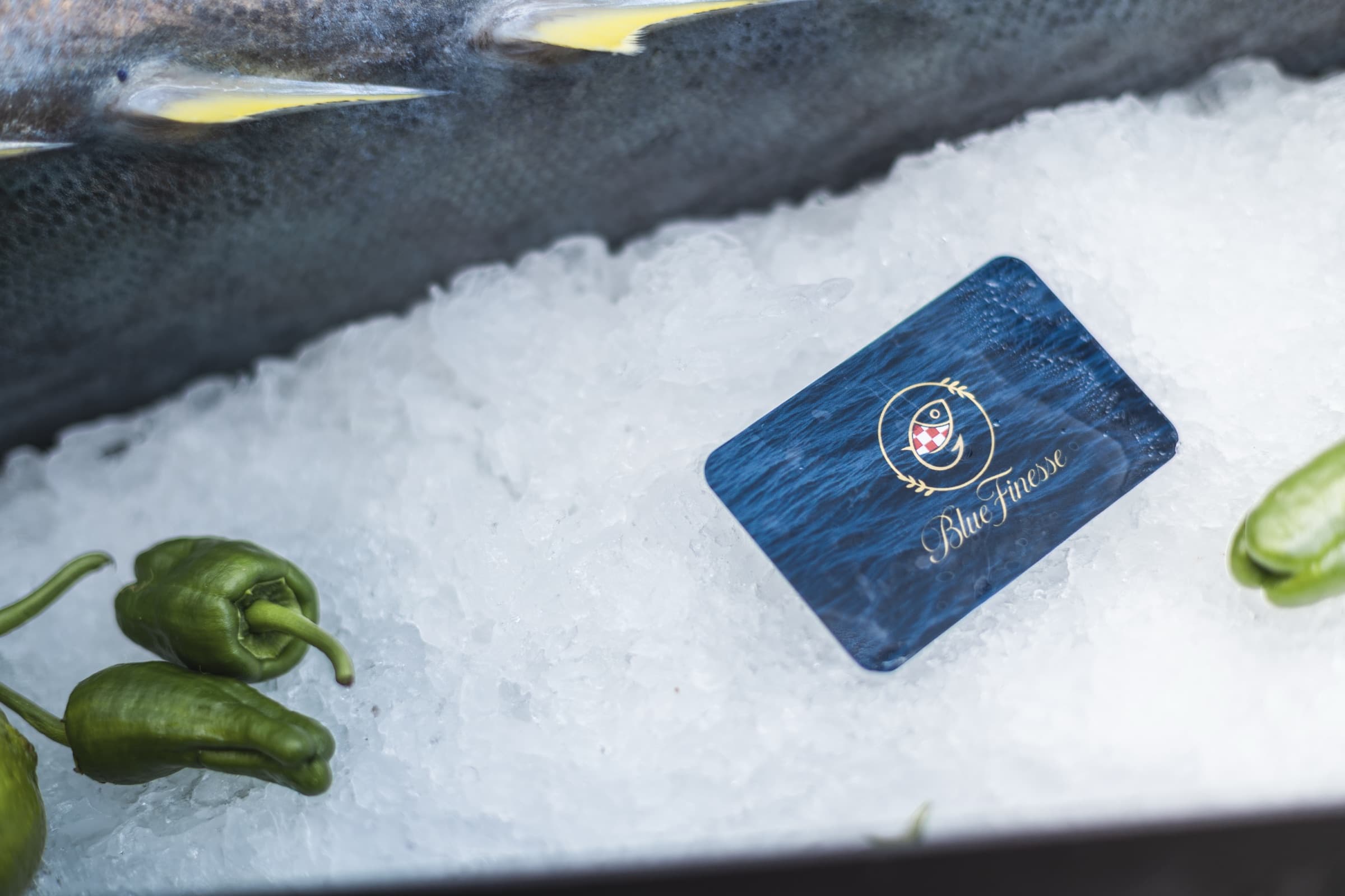A BLUE FINESSE card resting on ice beside a whole tuna